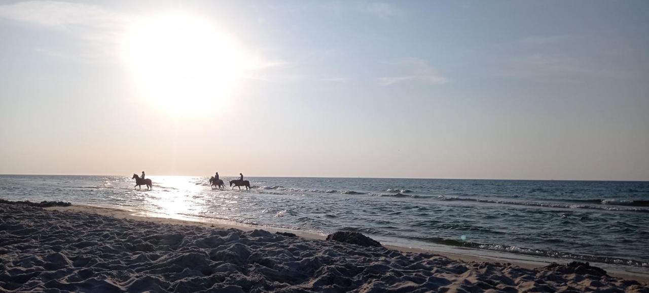 Private Seaside Home Sasino Ngoại thất bức ảnh